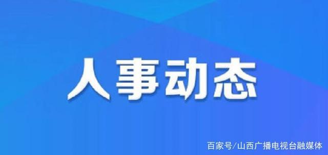 阳江市市企业调查队最新人事任命，推动企业发展的新力量